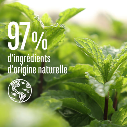 Shampoing Antipelliculaire Cheveux Sujets aux Pellicules Menthe Bio et Huiles Essentielles LE PETIT MARSEILLAIS