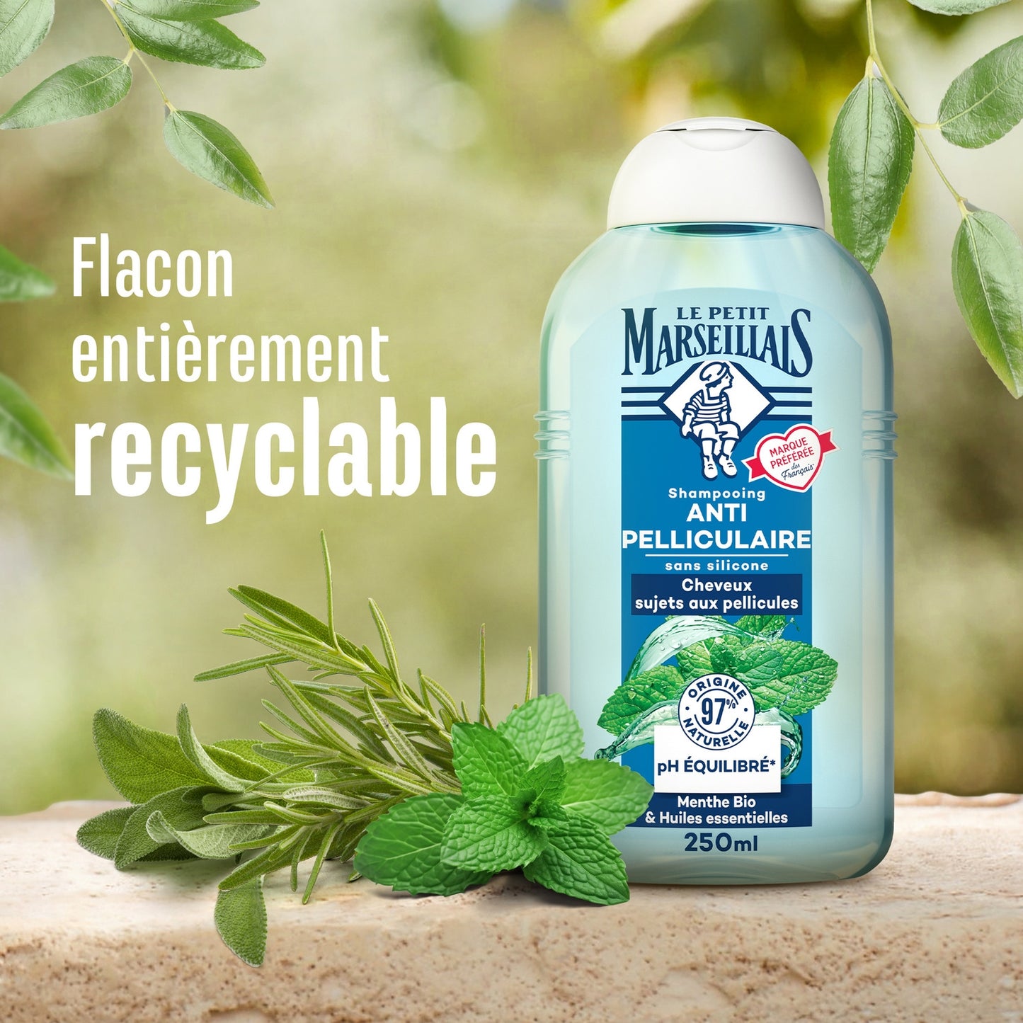 Shampoing Antipelliculaire Cheveux Sujets aux Pellicules Menthe Bio et Huiles Essentielles LE PETIT MARSEILLAIS