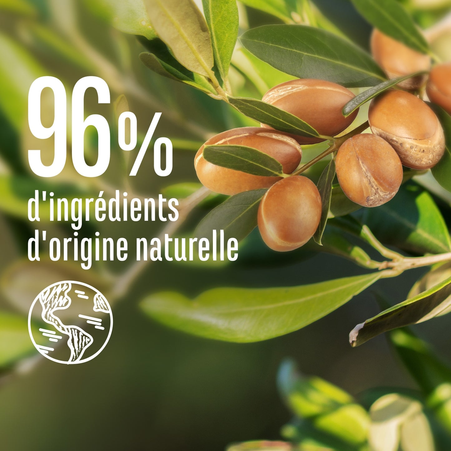 Shampoing Nutrition Cheveux Secs Cassants Miel de Provence Bio et Karité Bio LE PETIT MARSEILLAIS