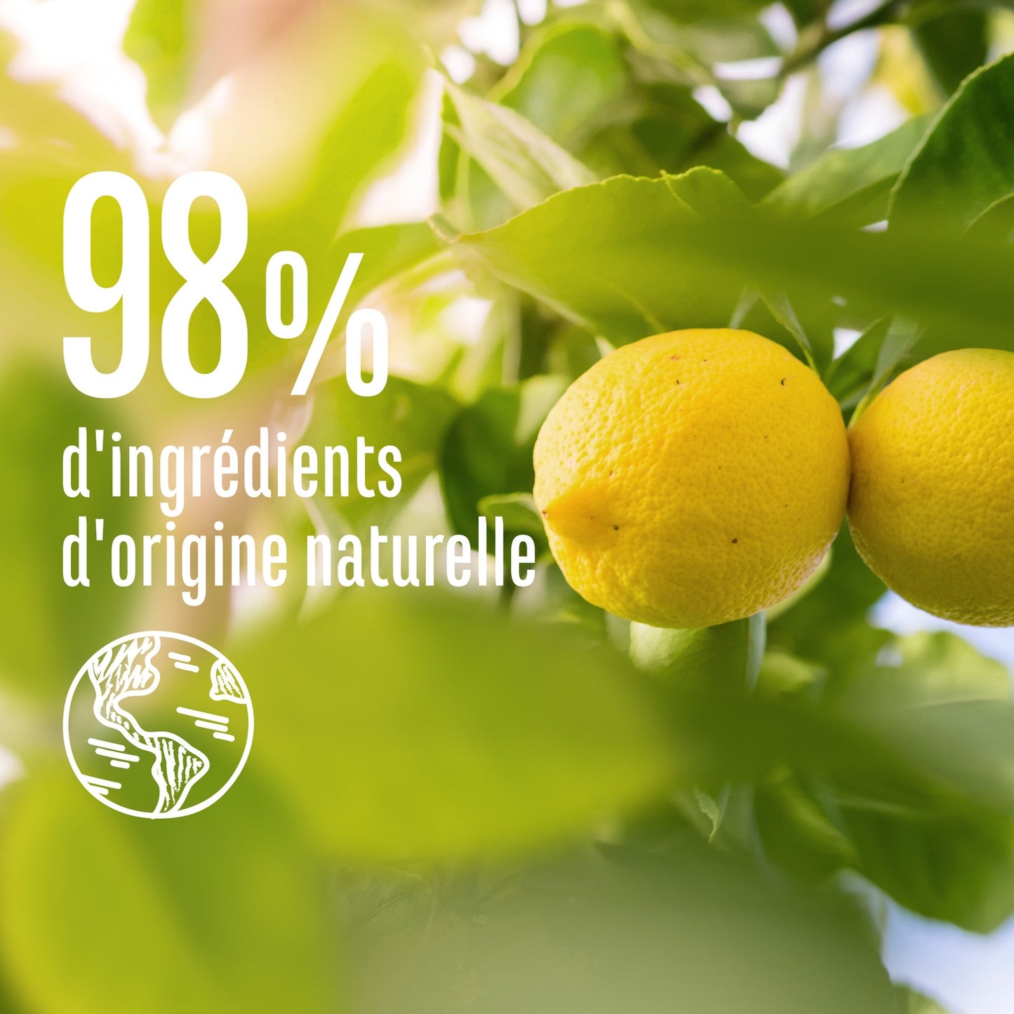 Nettle and Lemon Shampoo LE PETIT MARSEILLAIS
