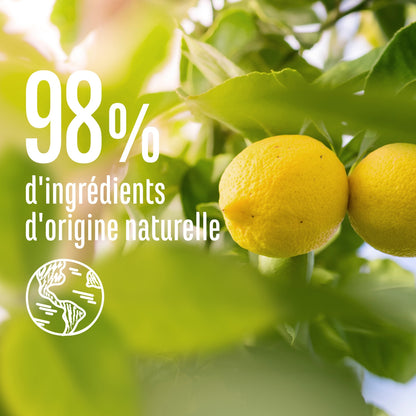 Shampoing Purifiant Cheveux Regraissant Vite Ortie et Citron Bio LE PETIT MARSEILLAIS