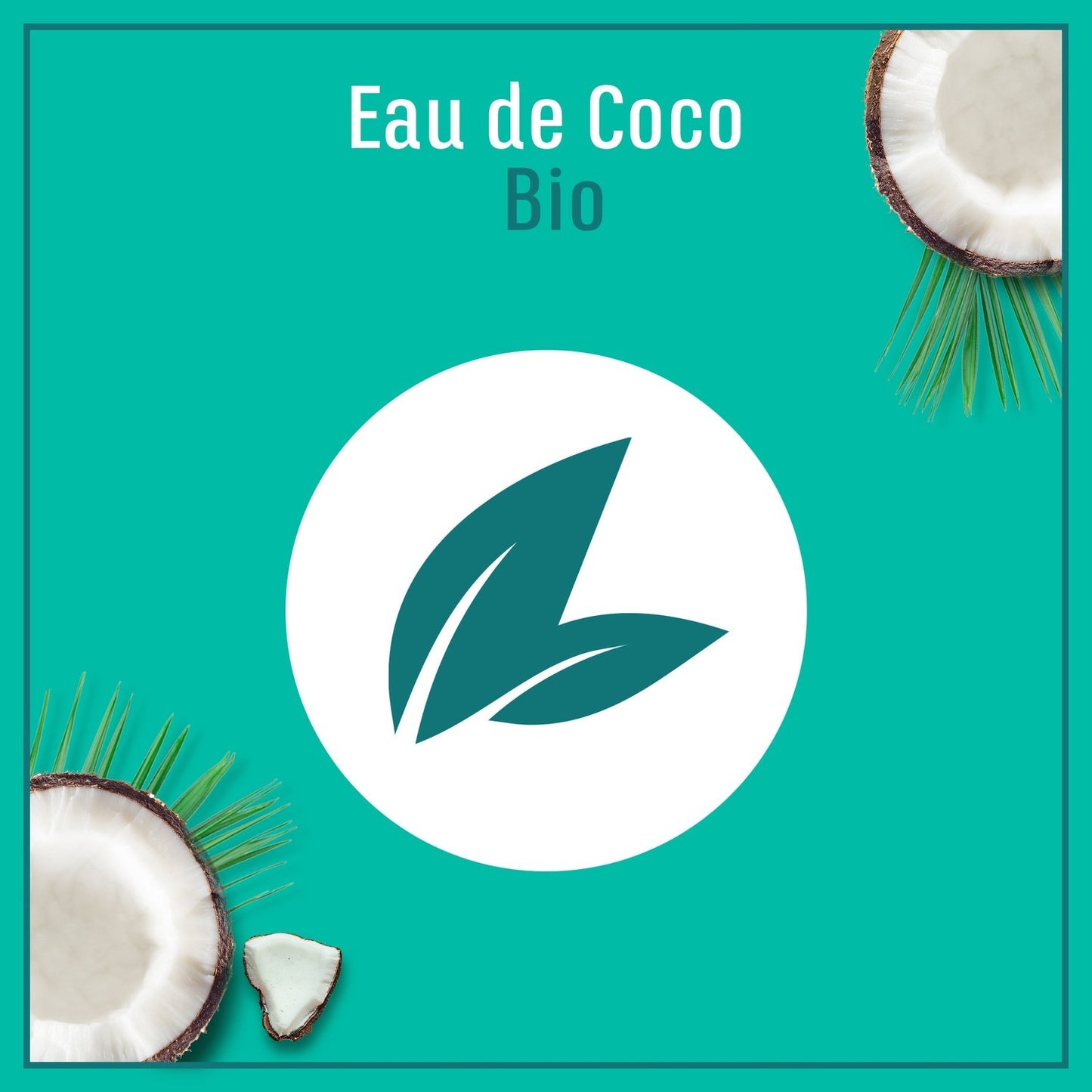 Masque Hydratation Légèreté Cheveux Déshydratés Bio LE PETIT MARSEILLAIS
