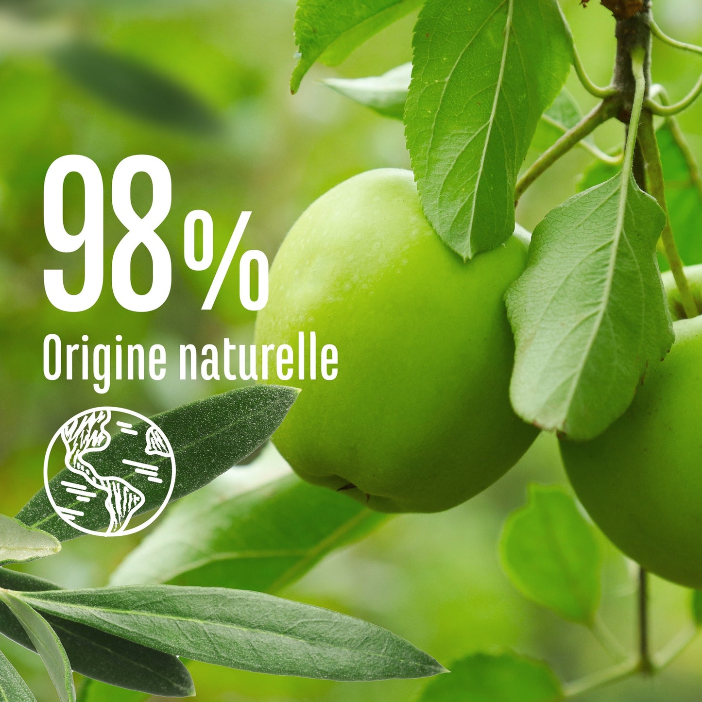 LE PETIT MARSEILLAIS Apple/Olive Leaf Shampoo