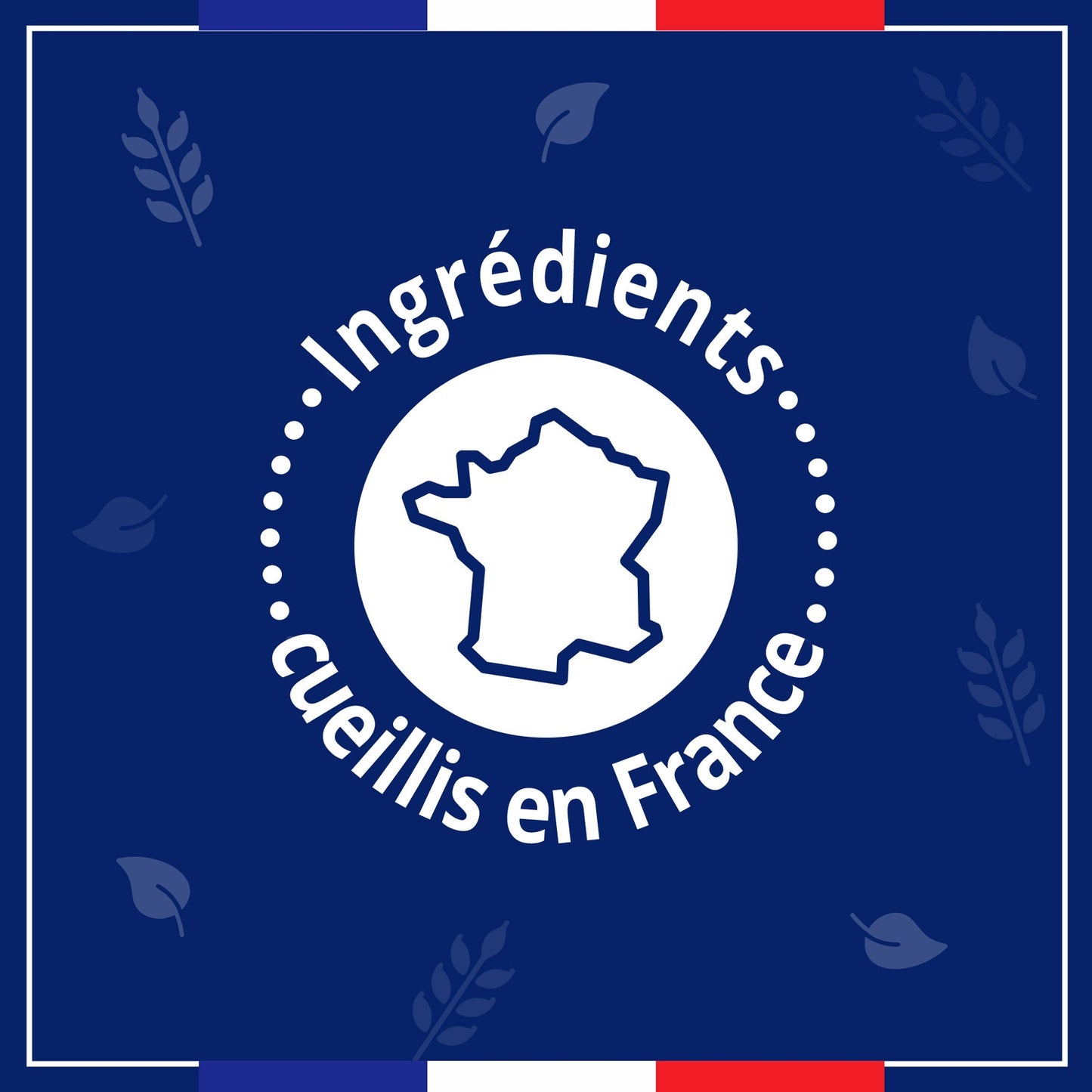 Liquid Soap Refill Antibacterial Action LE PETIT MARSEILLAIS
