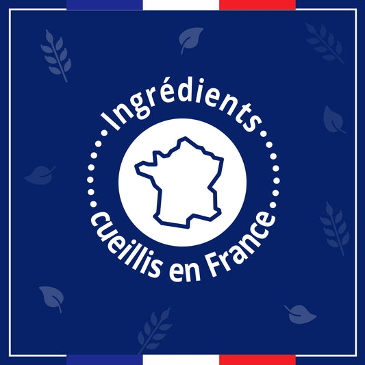Liquid Soap Refill Antibacterial Action LE PETIT MARSEILLAIS