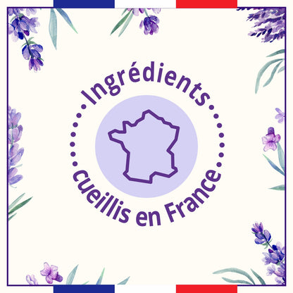 Liquid Soap Refill with Lavender Essential Oil LE PETIT MARSEILLAIS
