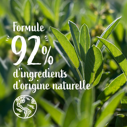 Savon Liquide Recharge Mains Action Anti-Bactérienne à l'Huile Essentielle de Sauge LE PETIT MARSEILLAIS