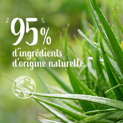 Lait Apaisant Hydratation 48h Aloe Vera Bio LE PETIT MARSEILLAIS