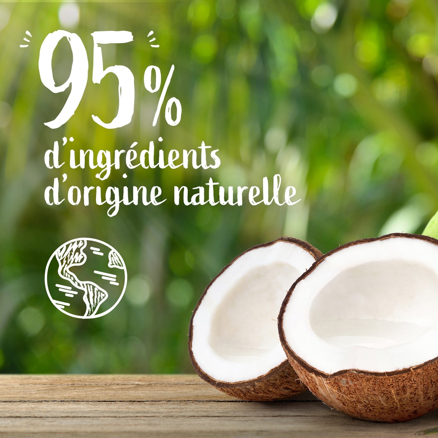 Lait Corps Peau Déshydratée Hydratation 48h Noix de Coco Bio LE PETIT MARSEILLAIS