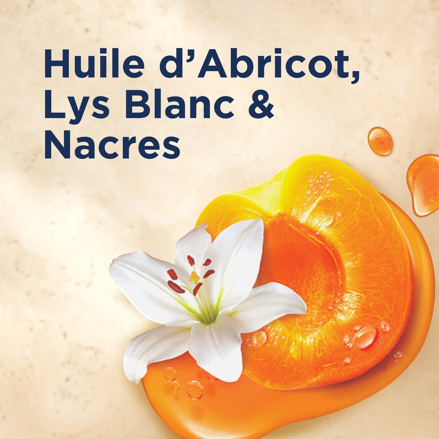 Lait Corps Peau Très Sèche Hydratant Nacré Sublimant Huile d'Abricot LE PETIT MARSEILLAIS
