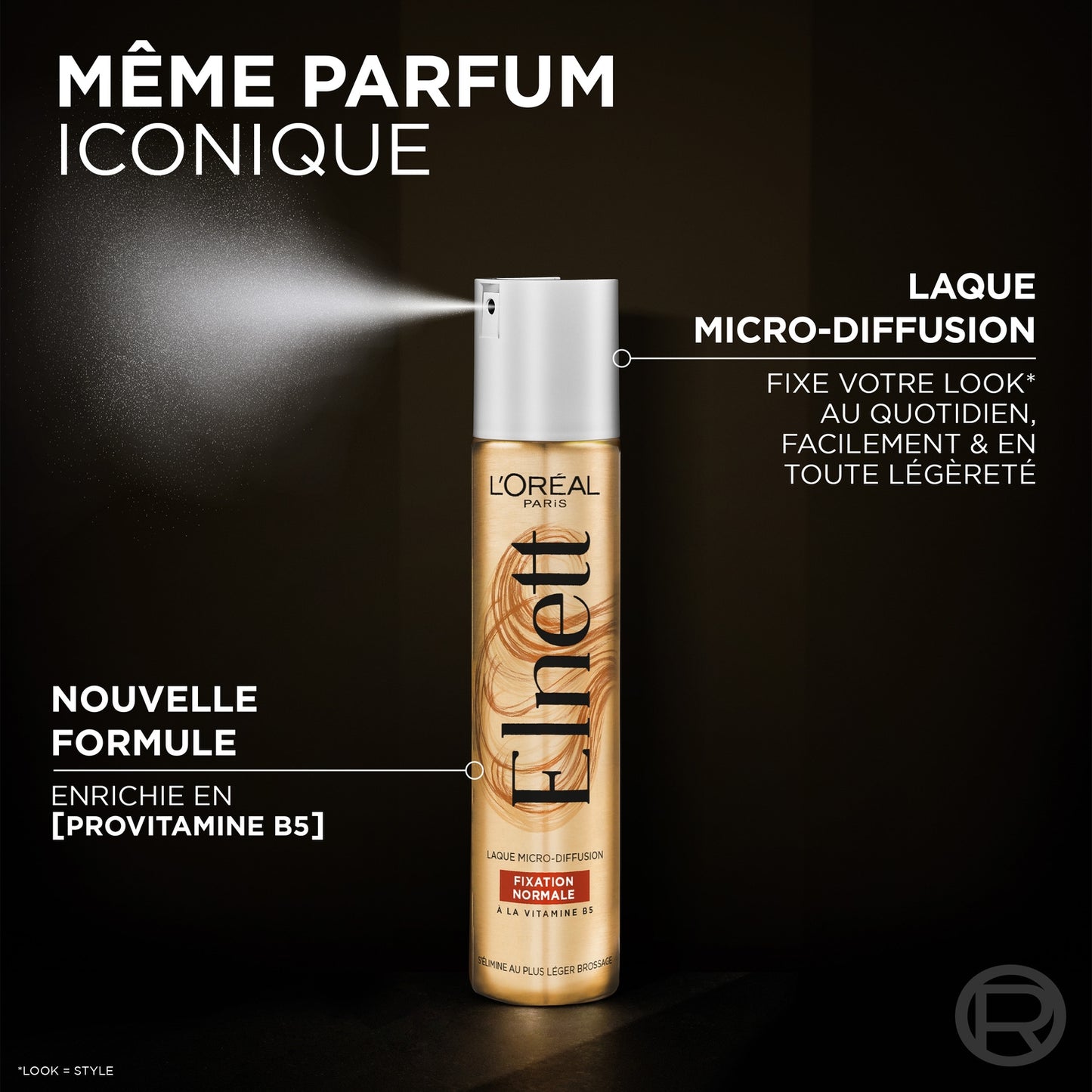 Laque Nutrition Cheveux Secs et Abîmés à l'Huile d'Argan Elnett L'OREAL PARIS