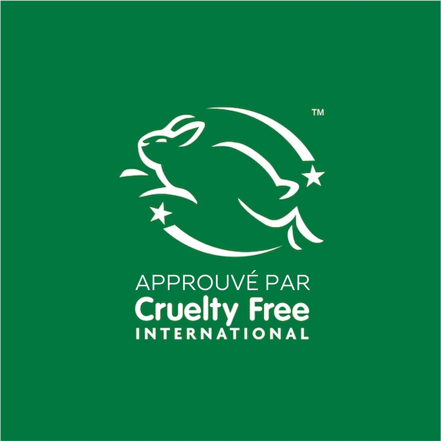 Shampoing Cheveux Blonds Illuminant Camomille et Miel de Fleurs Ultra Doux GARNIER