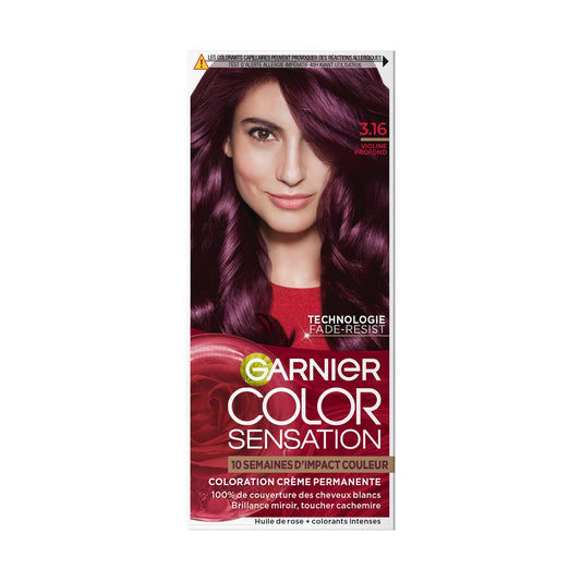 Coloration Cheveux Violine Profond 3,16 GARNIER 