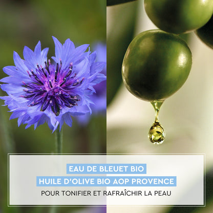 Gel crème Hydratant Visage Jour et Nuit Peau Fraîche et Lisse Non Grasse Olive et Bleuet Bio La Provençale Bio LA PROVENCALE BIO 