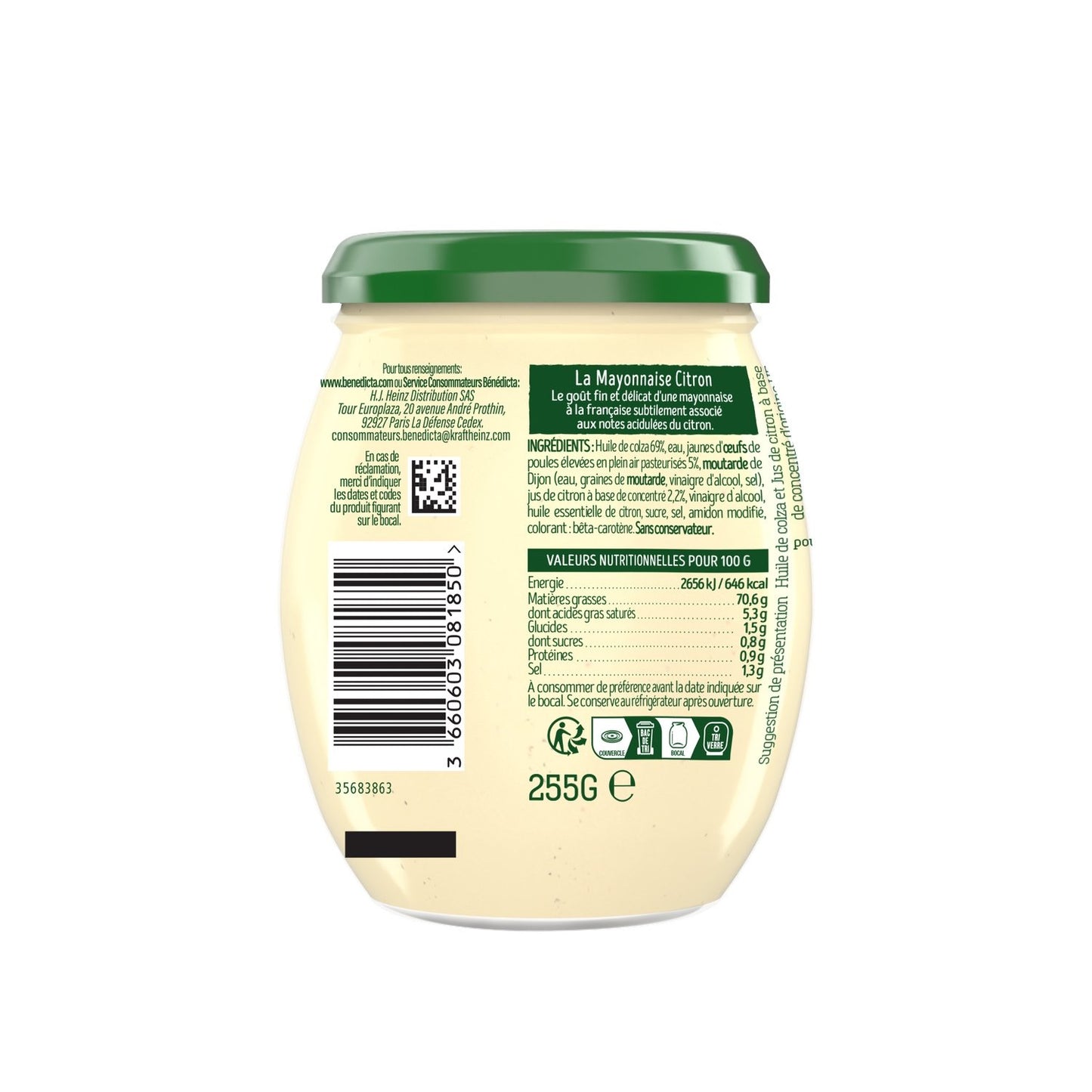 BENEDICTA Lemon Mayonnaise Sauce