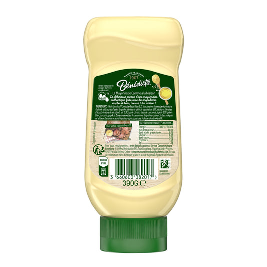 Mayonnaise Like at Home BENEDICTA