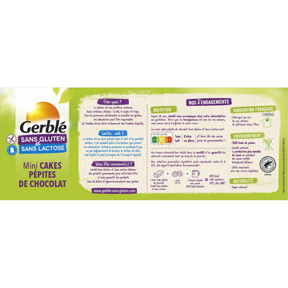 Cake Pépites Chocolat Sans Gluten GERBLE
