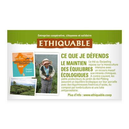 Thé Noir Earl Grey Darjeeling Bio ETHIQUABLE