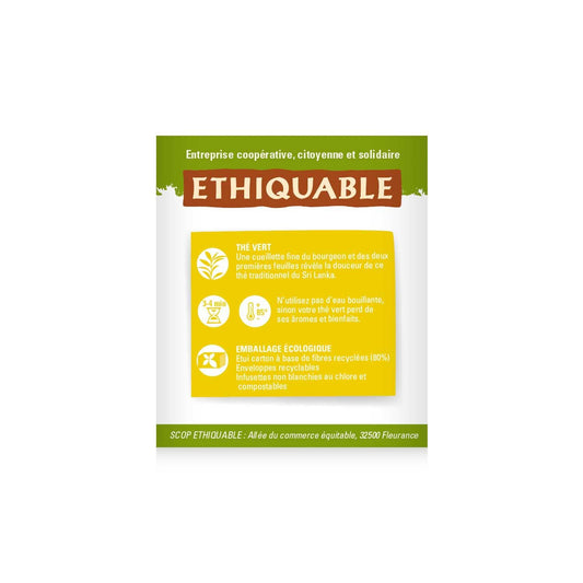 Organic Ceylon Ginger Lime Green Tea ETHIQUABLE