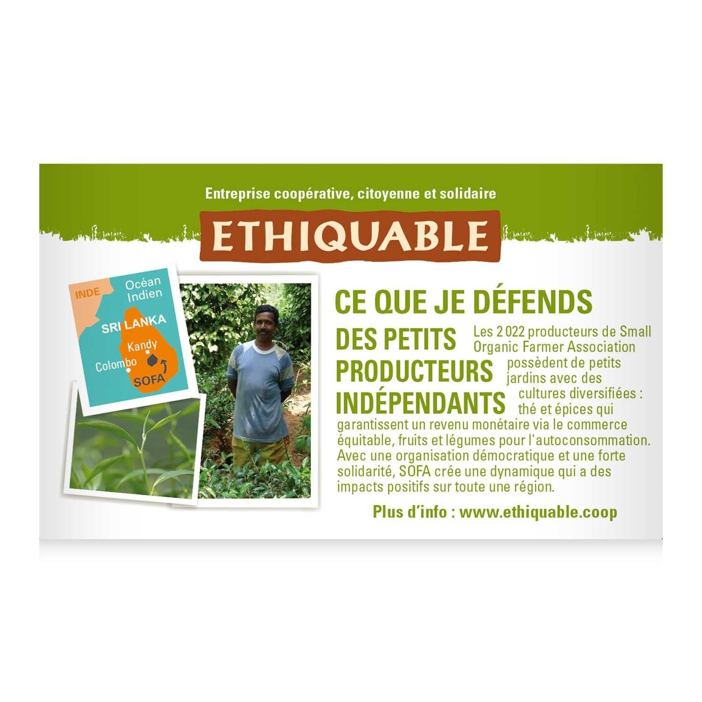 Thé Vert Gingembre Citron Vert Ceylan Bio ETHIQUABLE