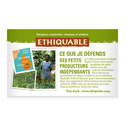 Thé Vert Gingembre Citron Vert Ceylan Bio ETHIQUABLE