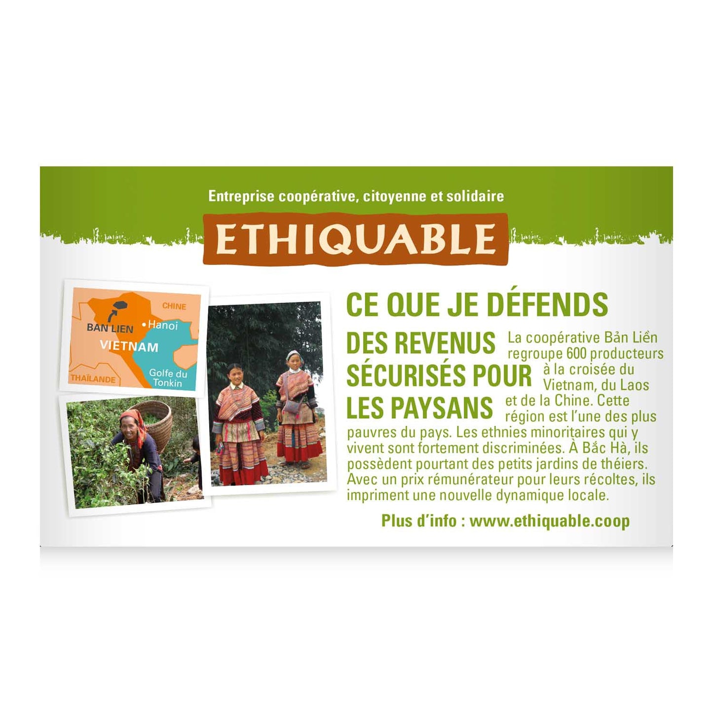 Thé Vert Menthe Vietnam Bio ETHIQUABLE