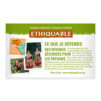 Thé Vert Jasmin Vietnam Bio ETHIQUABLE