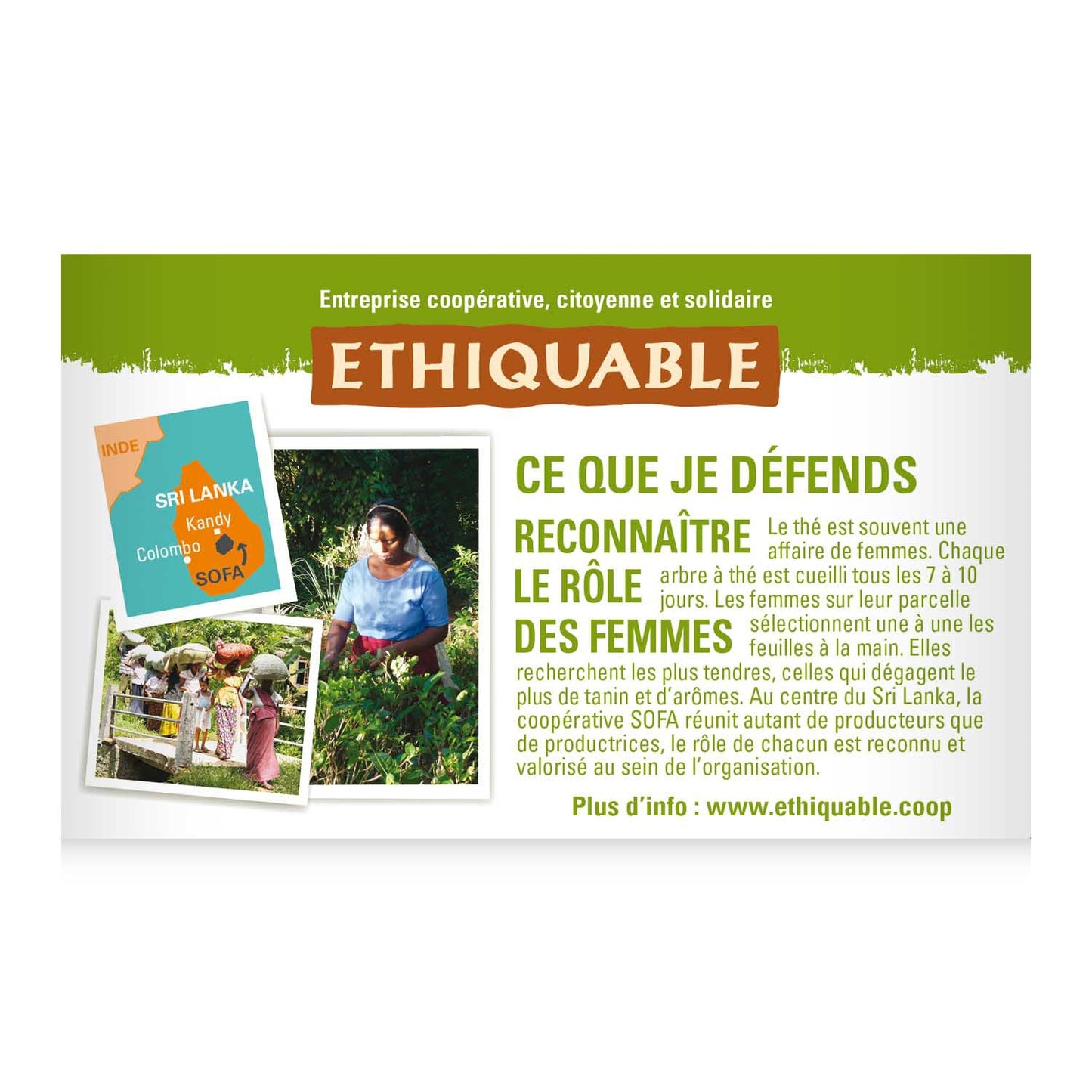 Thé Vert Agrumes Ceylan Bio ETHIQUABLE