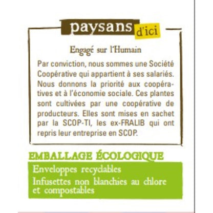 Infusion Thym Massif Central Bio PAYSANS D'ICI