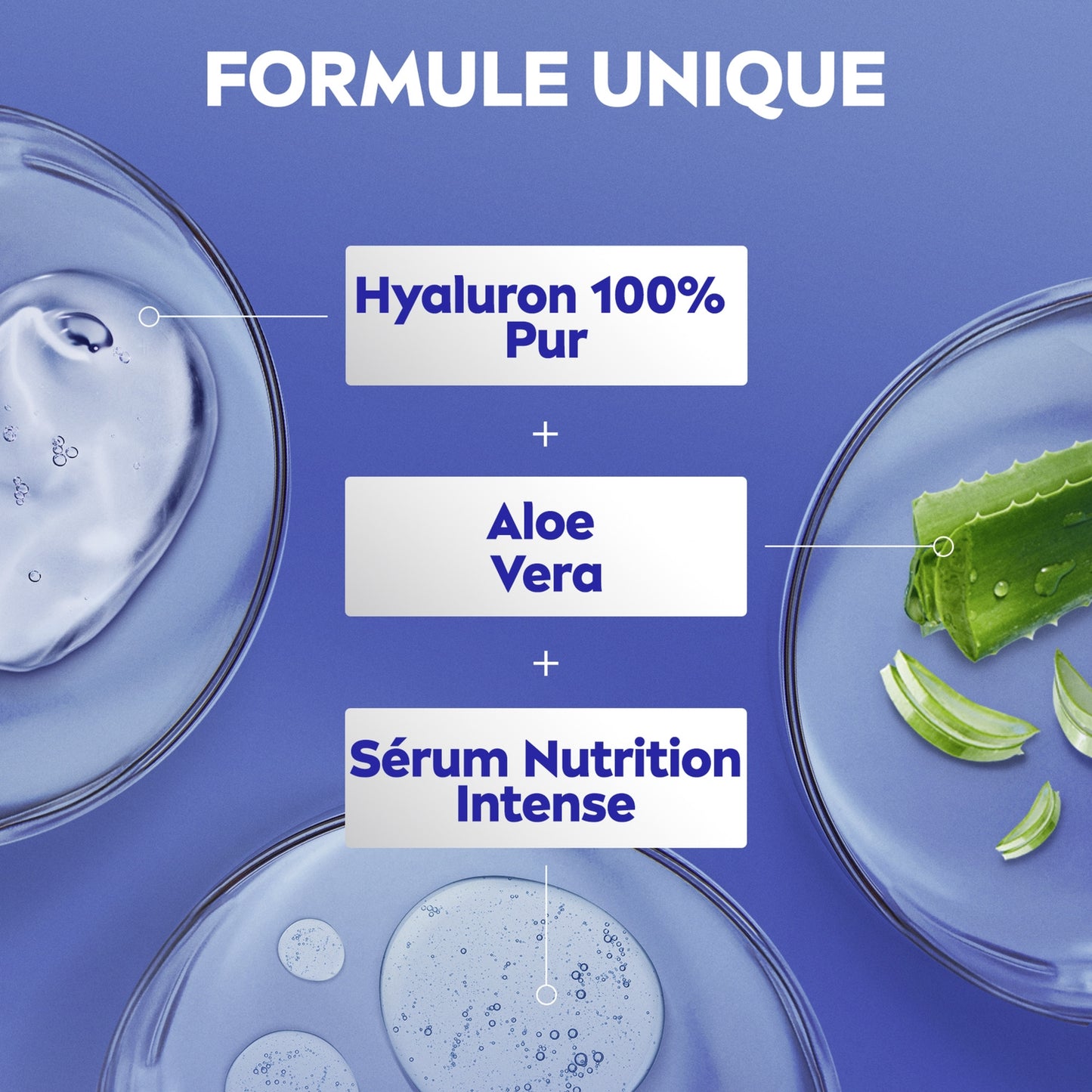 Aloe Vera Feuchtigkeitsspendende Körperlotion für normale bis trockene Haut, 72 Stunden Feuchtigkeit, NIVEA