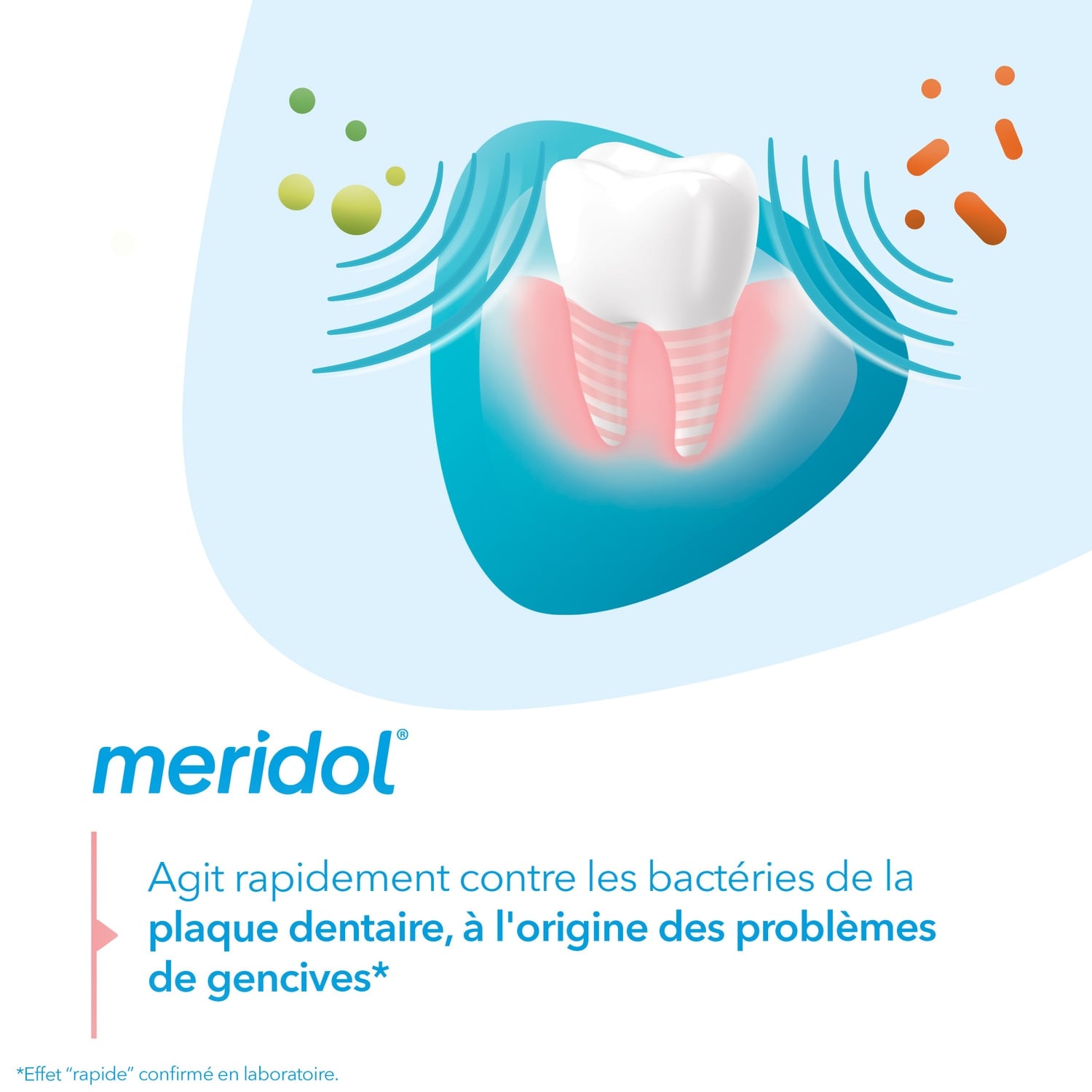 Dentifrice Protection Gencives Combat l'Inflammation MERIDOL 