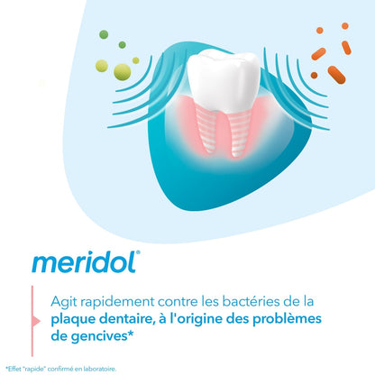 Dentifrice Protection Gencives Combat l'Inflammation MERIDOL 