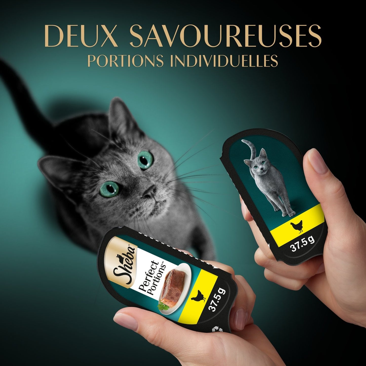 Pâtée pour Chat Adulte en Terrine Poulet Perfect Portions SHEBA