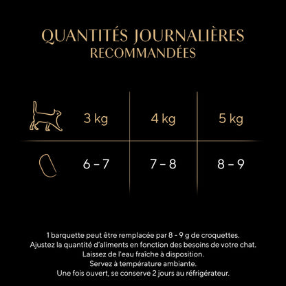 Pâtée pour Chat Adulte en Terrine Saumon Perfect Portions SHEBA