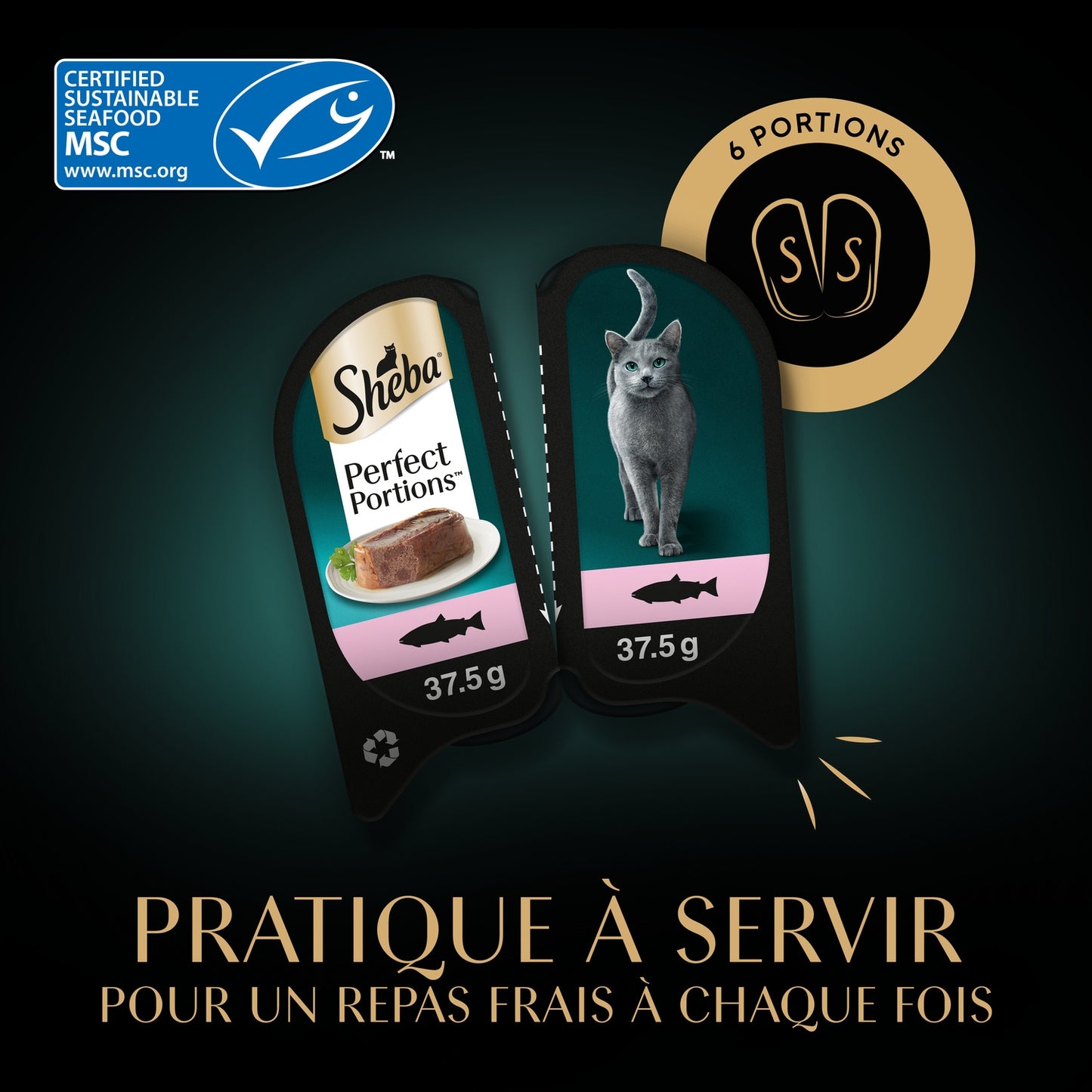 Pâtée pour Chat Adulte en Terrine Saumon Perfect Portions SHEBA