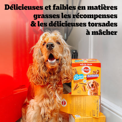 Friandises pour Chien Adulte Rodeo Duos Jambon PEDIGREE 