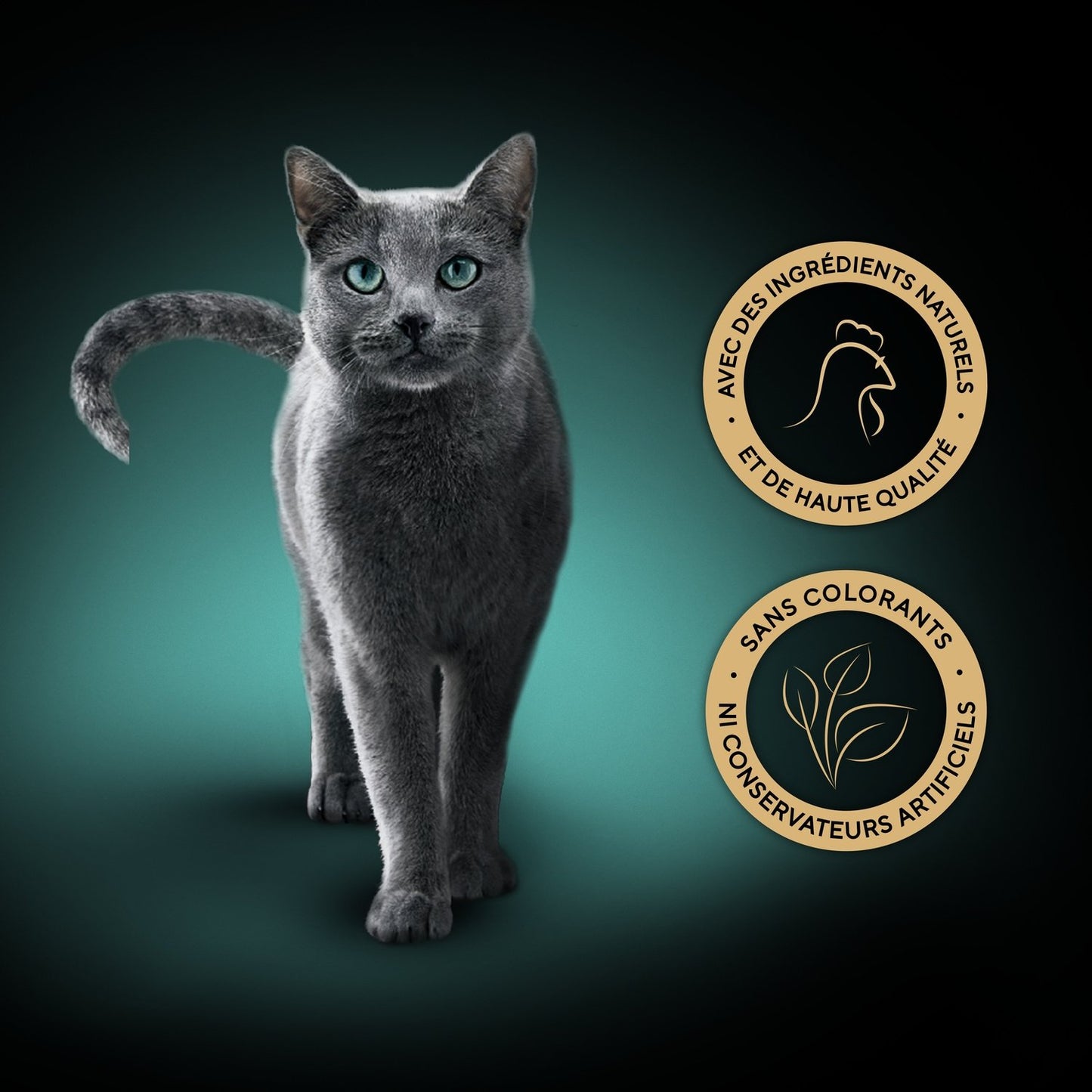 Sheba Adult Cat Food with Chicken Fillets