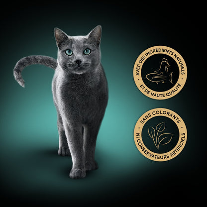 Pâtée pour Chat Adulte Filets Poulet Thon SHEBA
