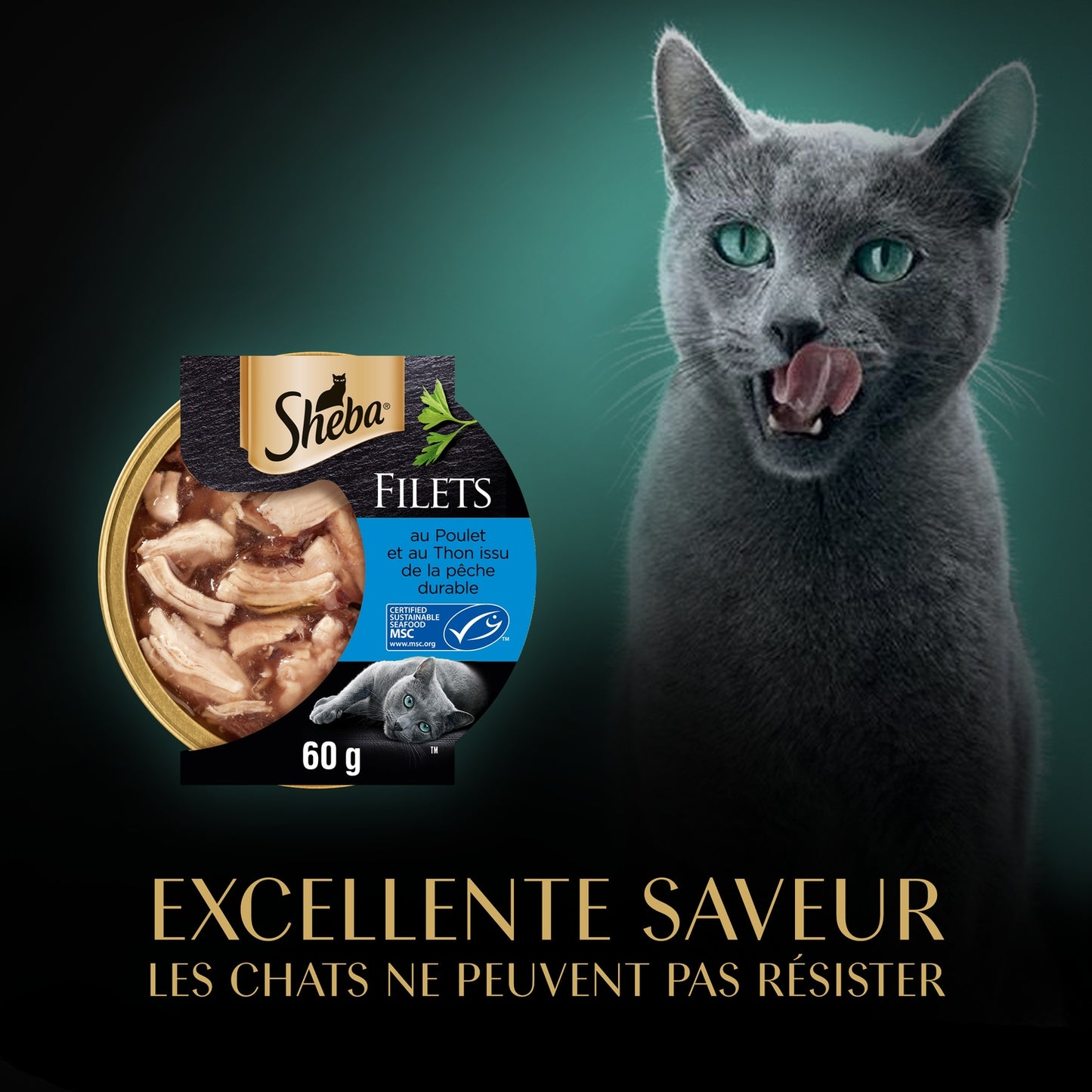 Pâtée pour Chat Adulte Filets Poulet Thon SHEBA