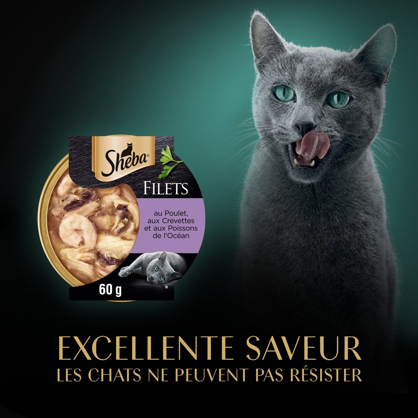 Pâtée pour Chat Adulte Filets Poulet Crevettes Poisson SHEBA