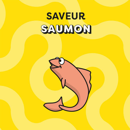 Friandises pour Chat Adulte Crémeuse Saumon CATISFACTIONS