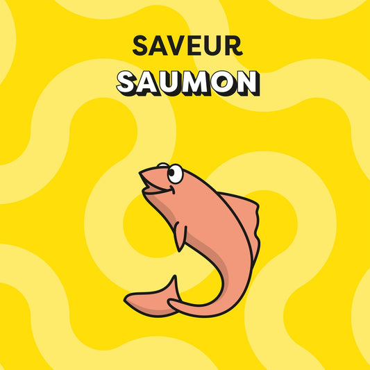 CATISFACTIONS Creamy Salmon Adult Cat Treats
