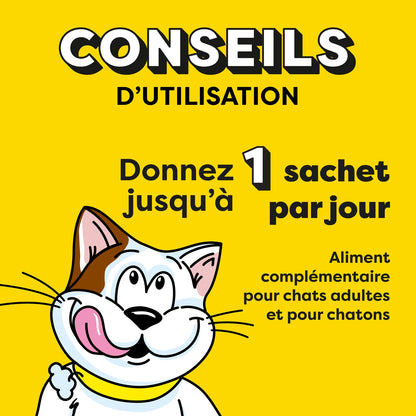 Friandises pour Chat Adulte Crémeuse Saumon CATISFACTIONS