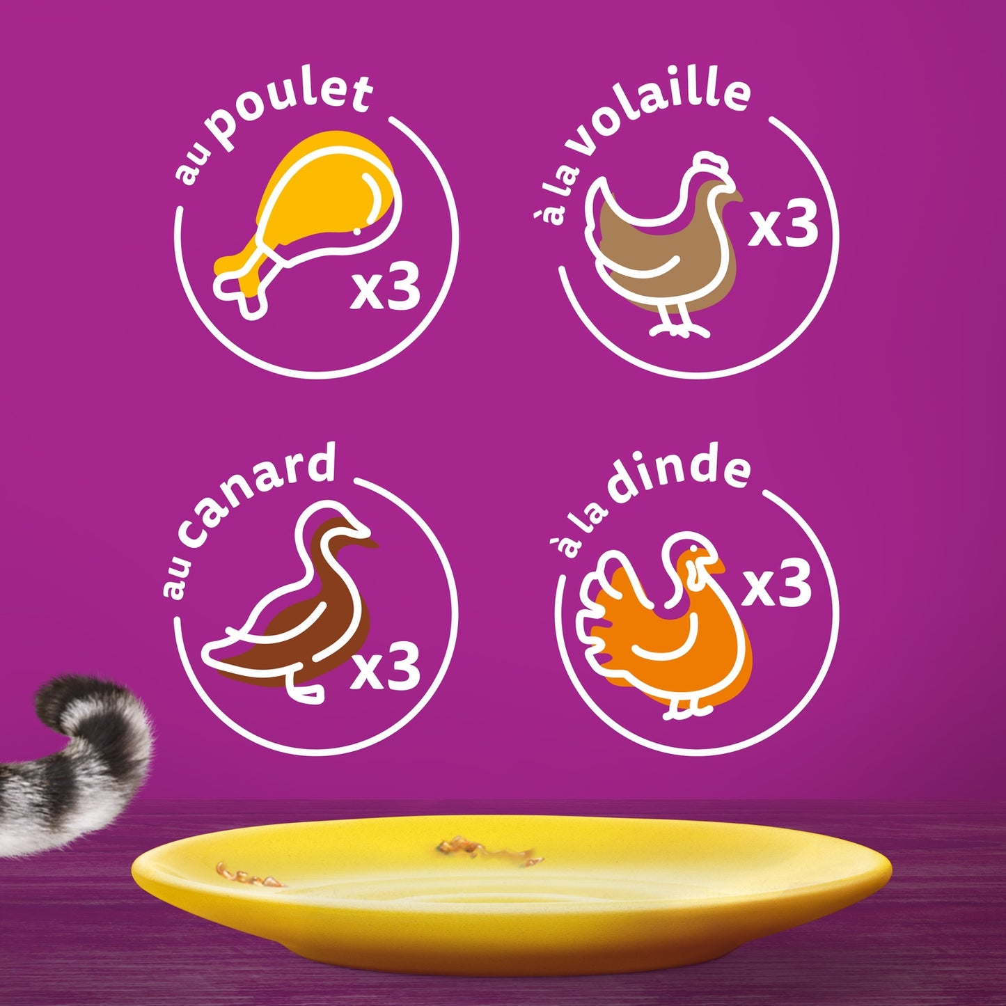 Pâtée pour Chat Adulte les Festins à la Volaille WHISKAS