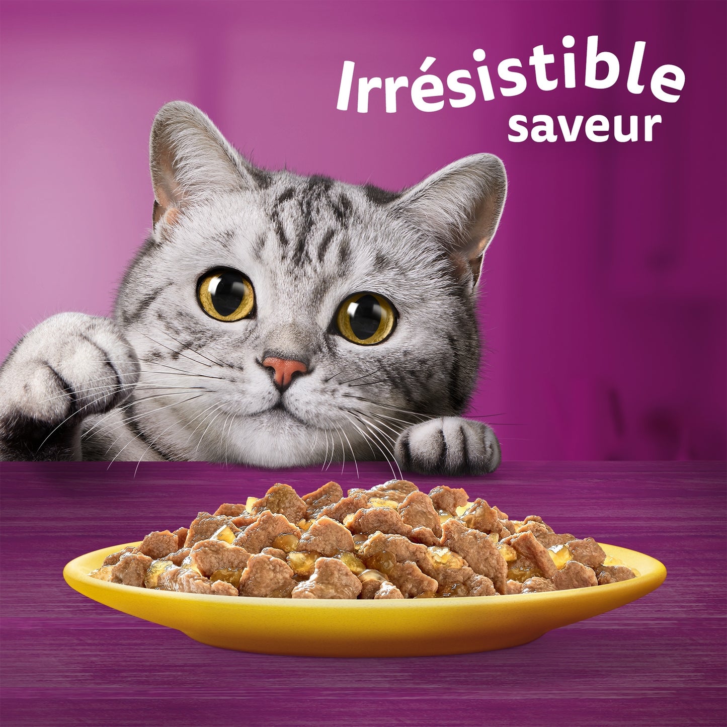 Pâtée pour Chat Adulte les Festins à la Volaille WHISKAS