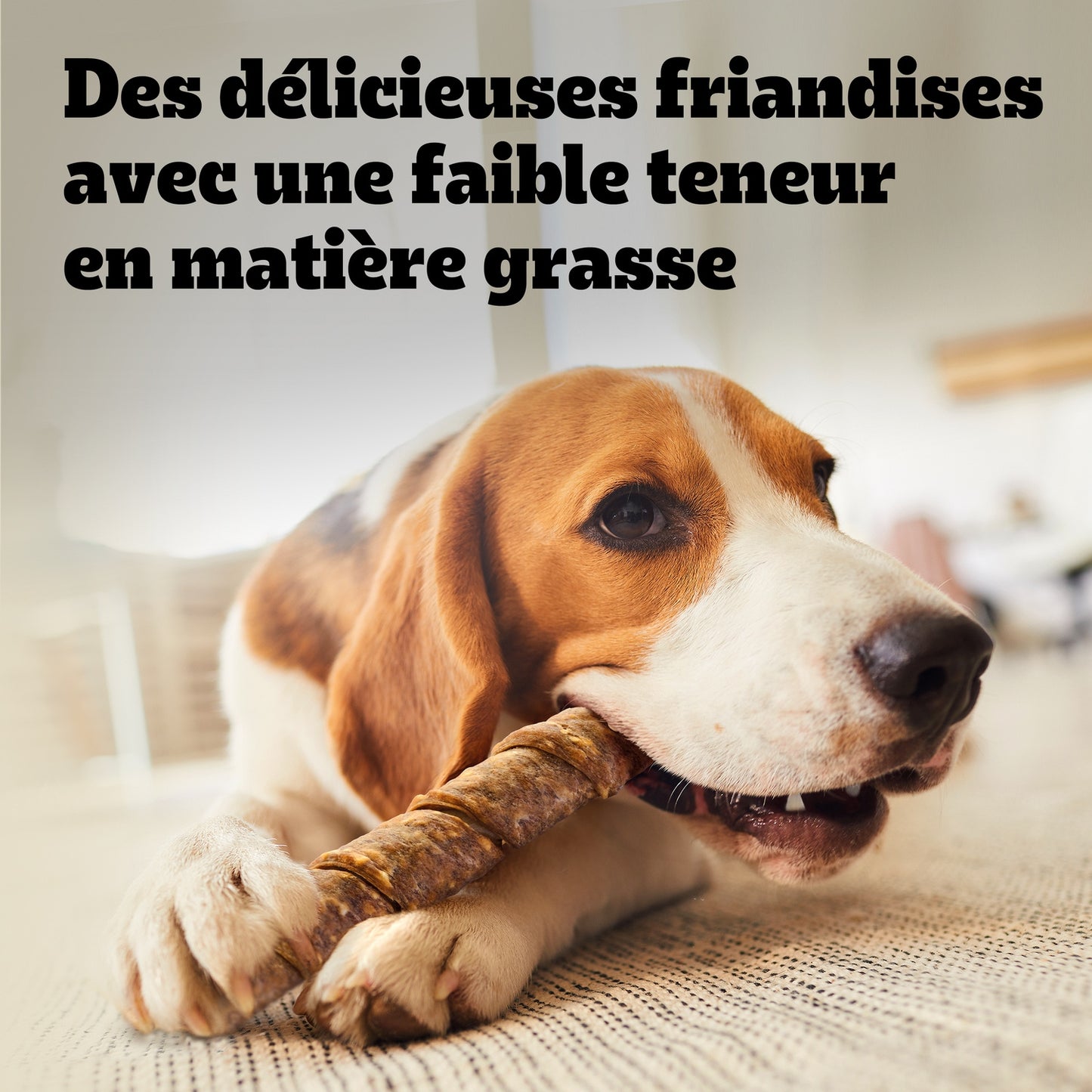 Friandises pour Chien Adulte Poulet Ranchos PEDIGREE