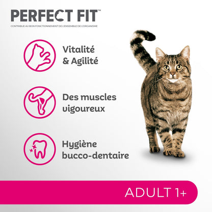 Croquettes pour Chat Adulte Stérilisé Saumon PERFECT FIT
