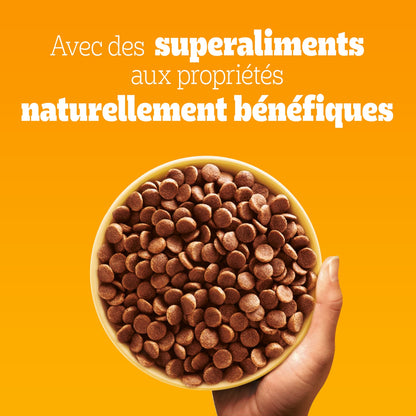 Croquettes pour Chien Adulte Petit <10kg Boeuf Légumes PEDIGREE