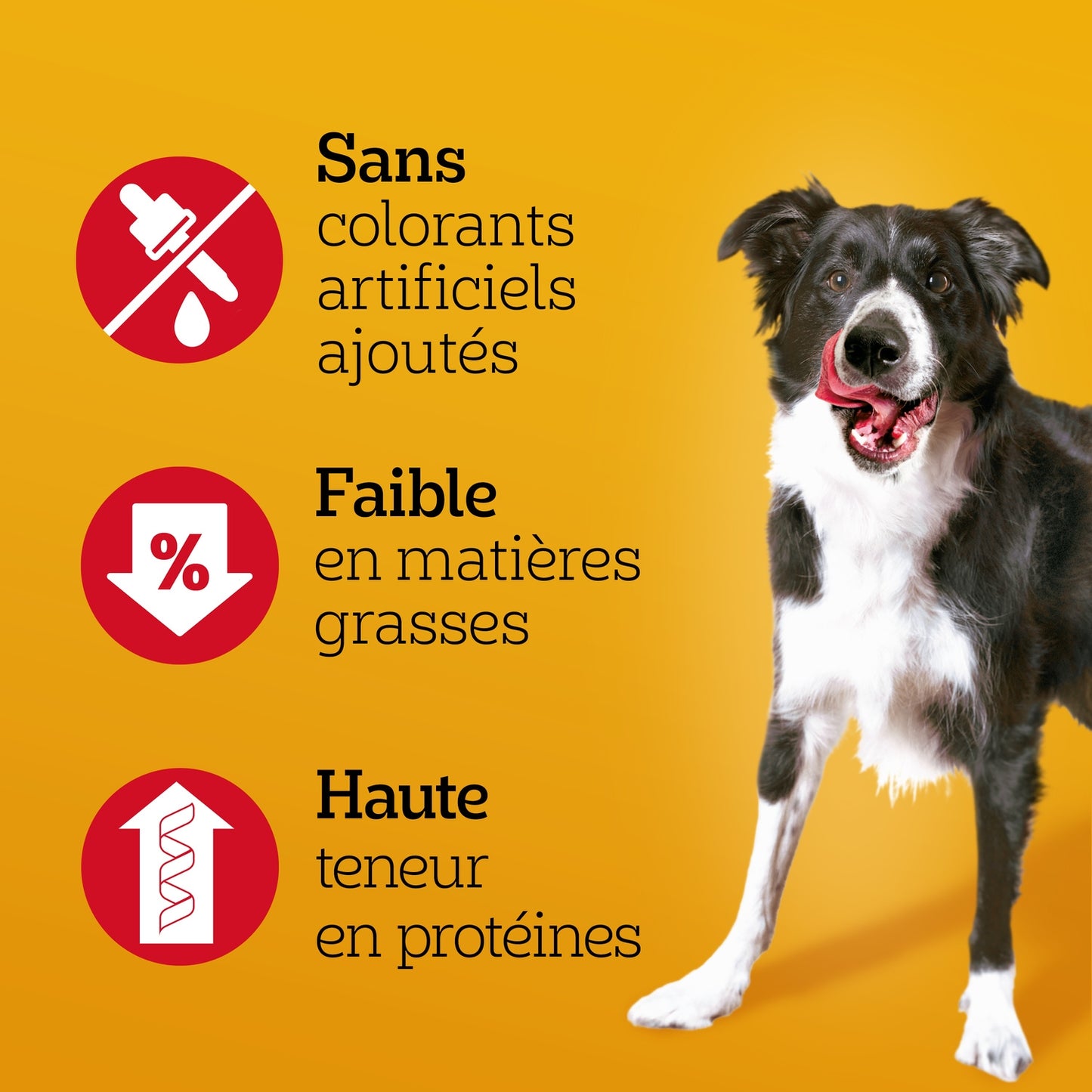 Ranchos Layers au Poulet et Carottes PEDIGREE