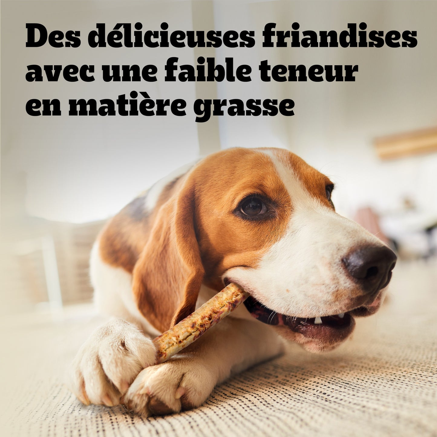 Ranchos Layers au Poulet et Carottes PEDIGREE
